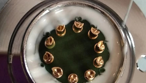 防震环氧结构胶