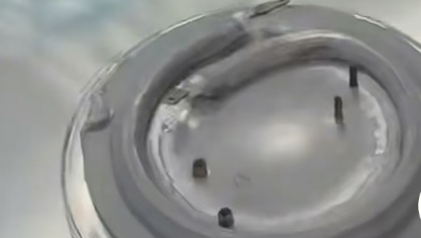 HJ-317单组份导热硅胶，HJ-317单组份导热硅胶养生壶玻璃与发热管粘接密封的耐高温解决方案